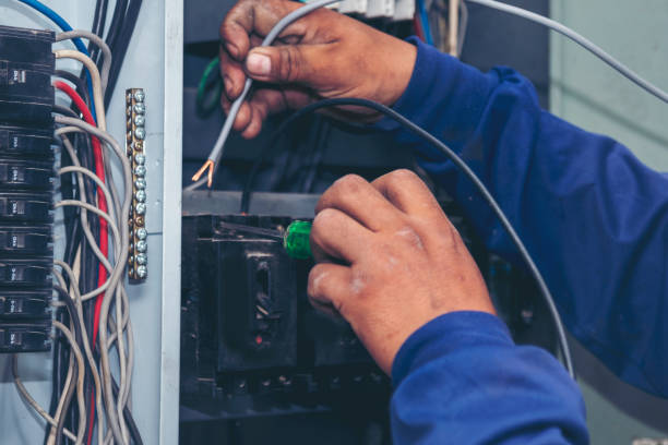 Best Affordable Electrician  in Lauderdale, MN