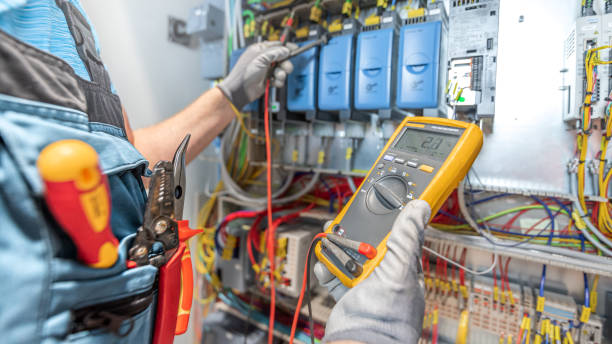 Best Electric Panel Repair  in Lauderdale, MN