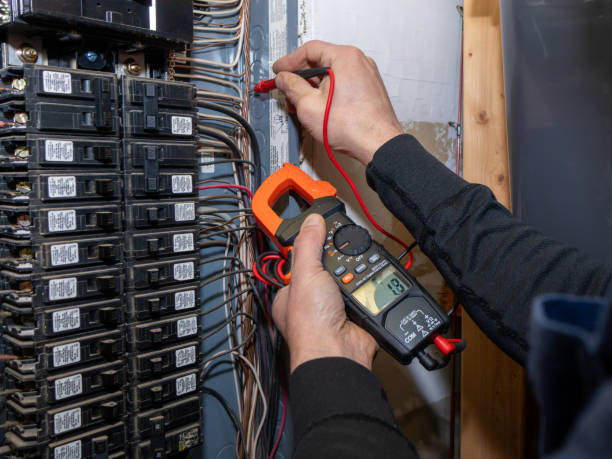 Best Ceiling Fan Installation Electrician  in Lauderdale, MN